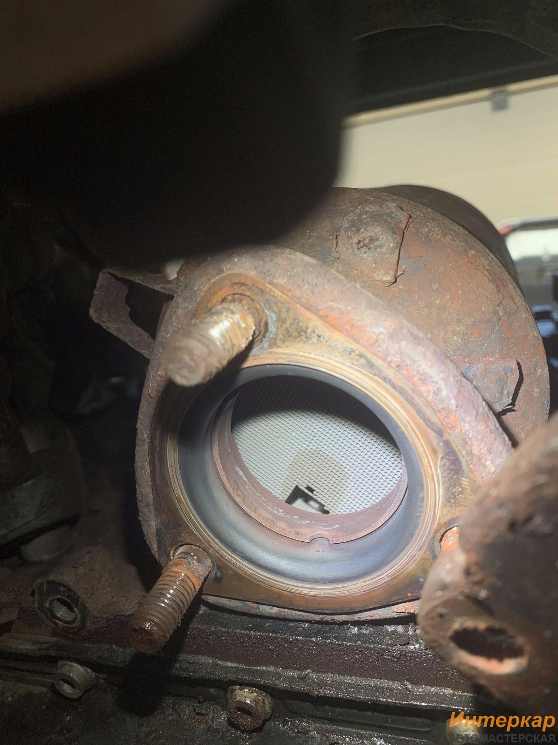 img_1034-1152x1536.jpg?v=1704892336