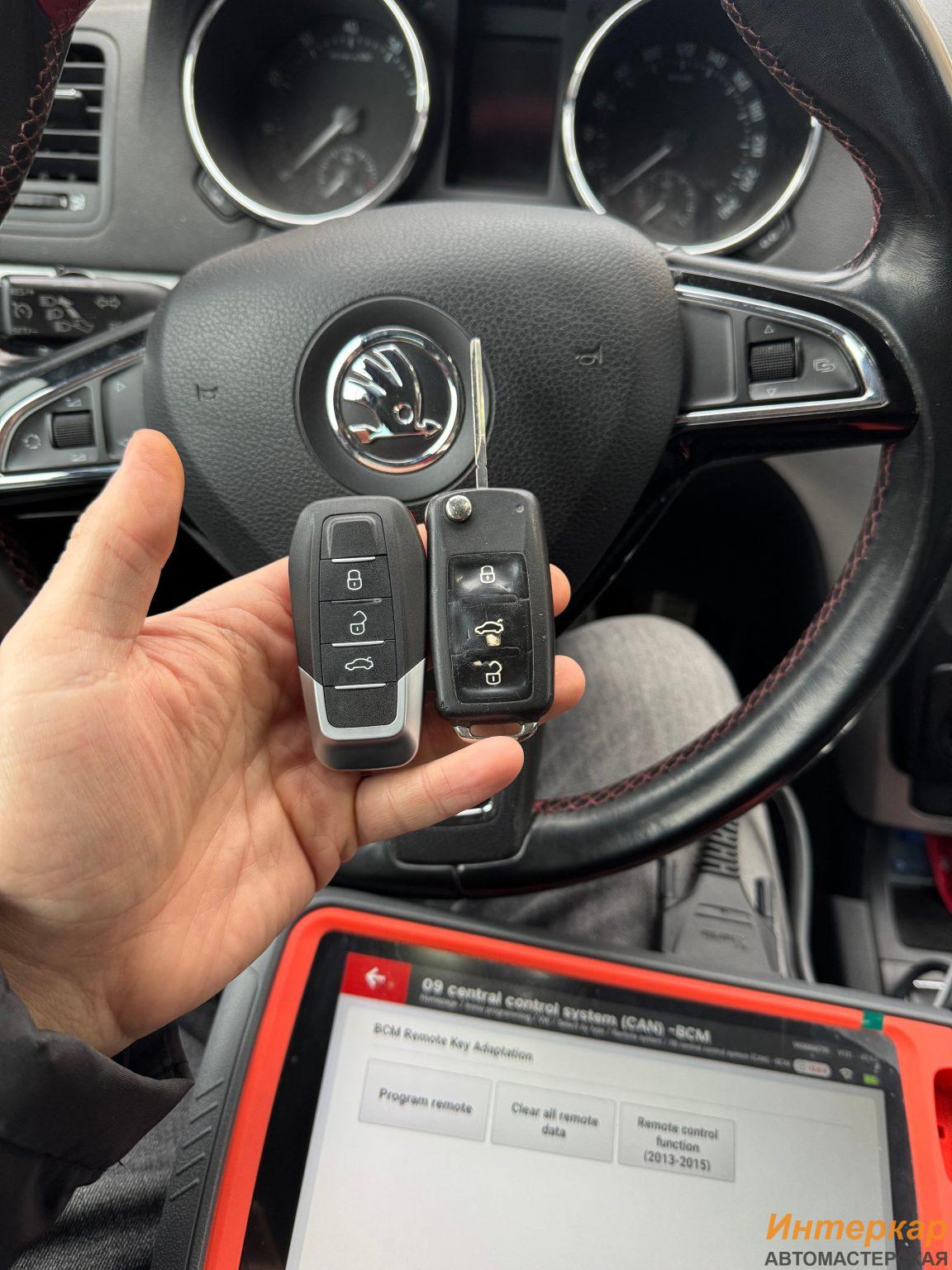 img_8224-1152x1536.jpg?v=1738304992