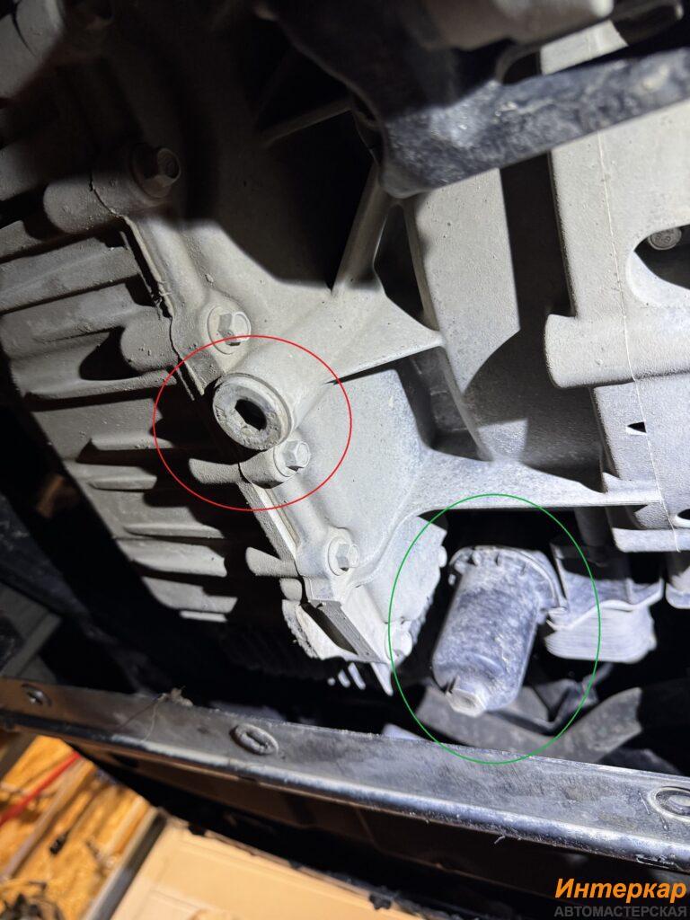 img_4073-768x1024.jpg?v=1769948207