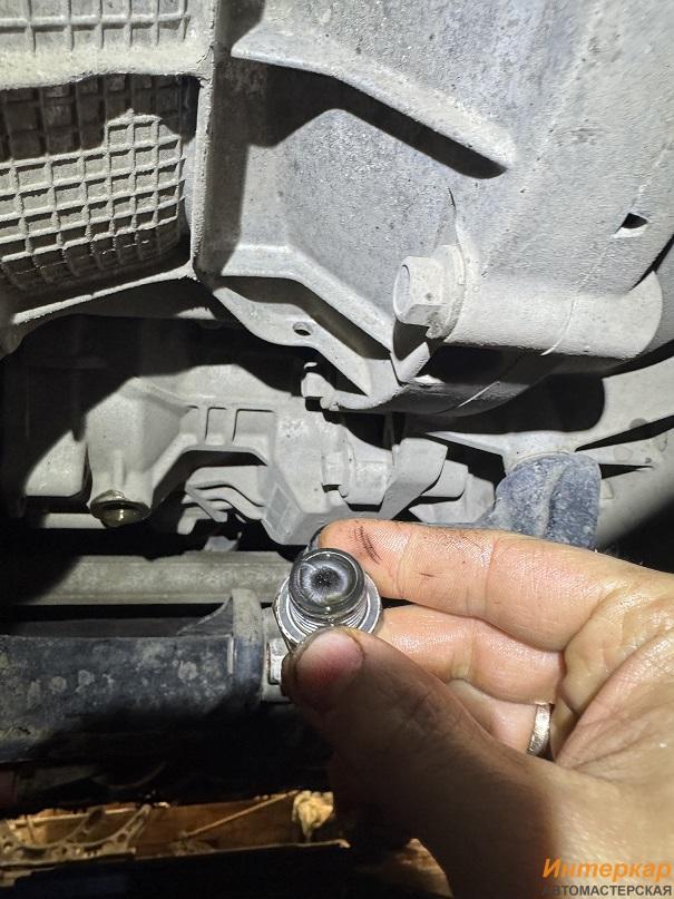 img_4077.jpg?v=1769949564