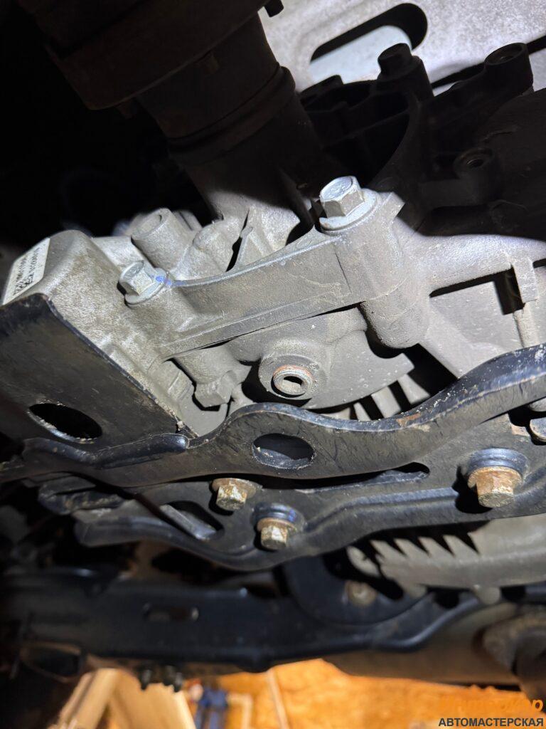 img_4090-768x1024.jpg?v=1769949828