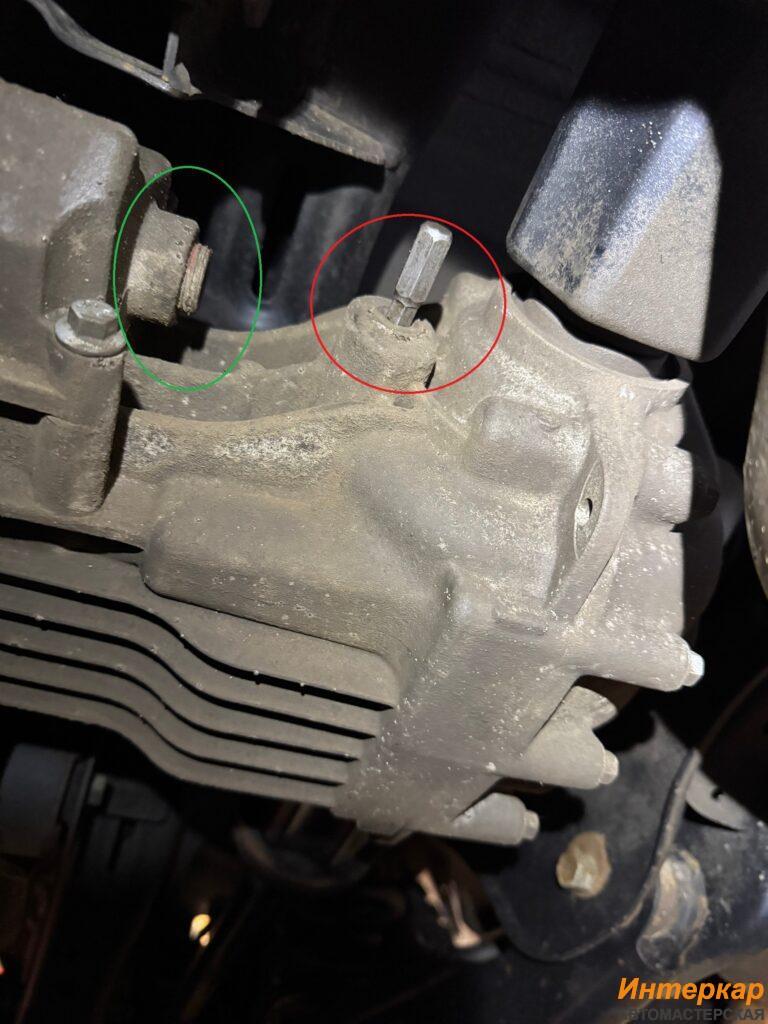 img_4091-768x1024.jpg?v=1769949805