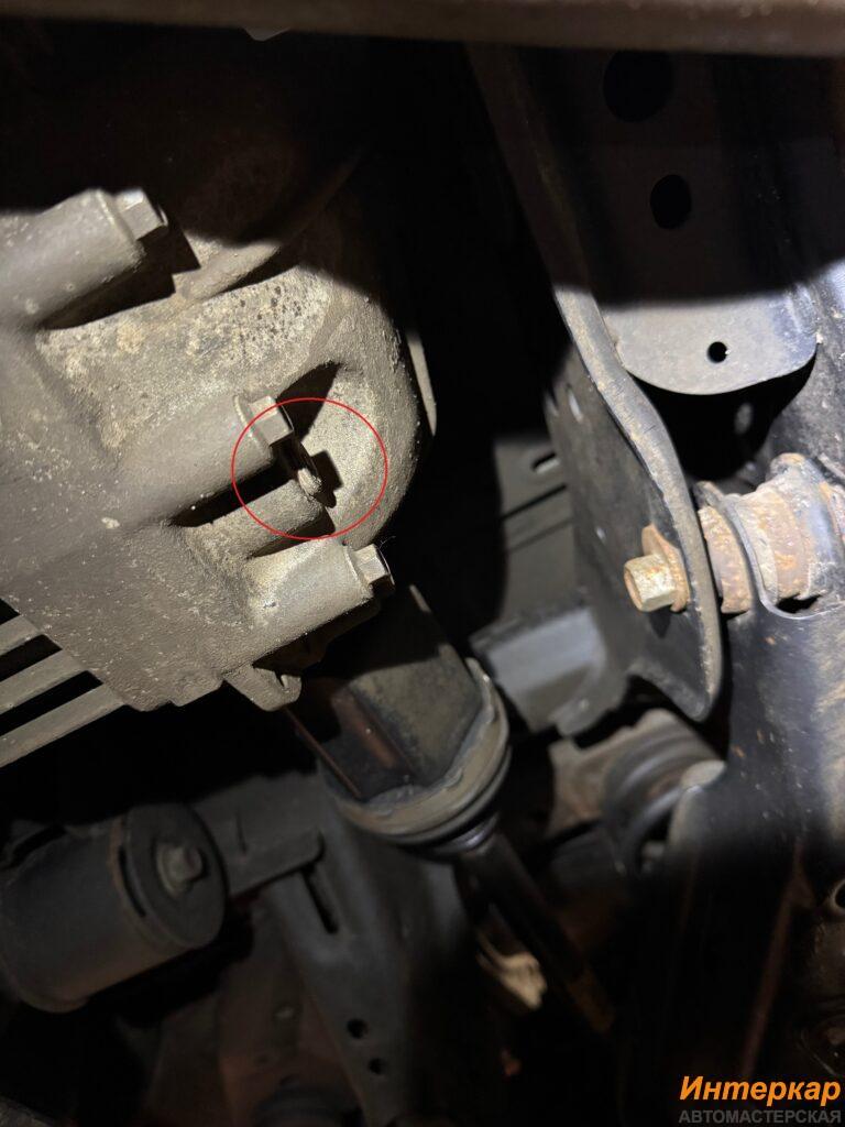 img_4092-768x1024.jpg?v=1769949716