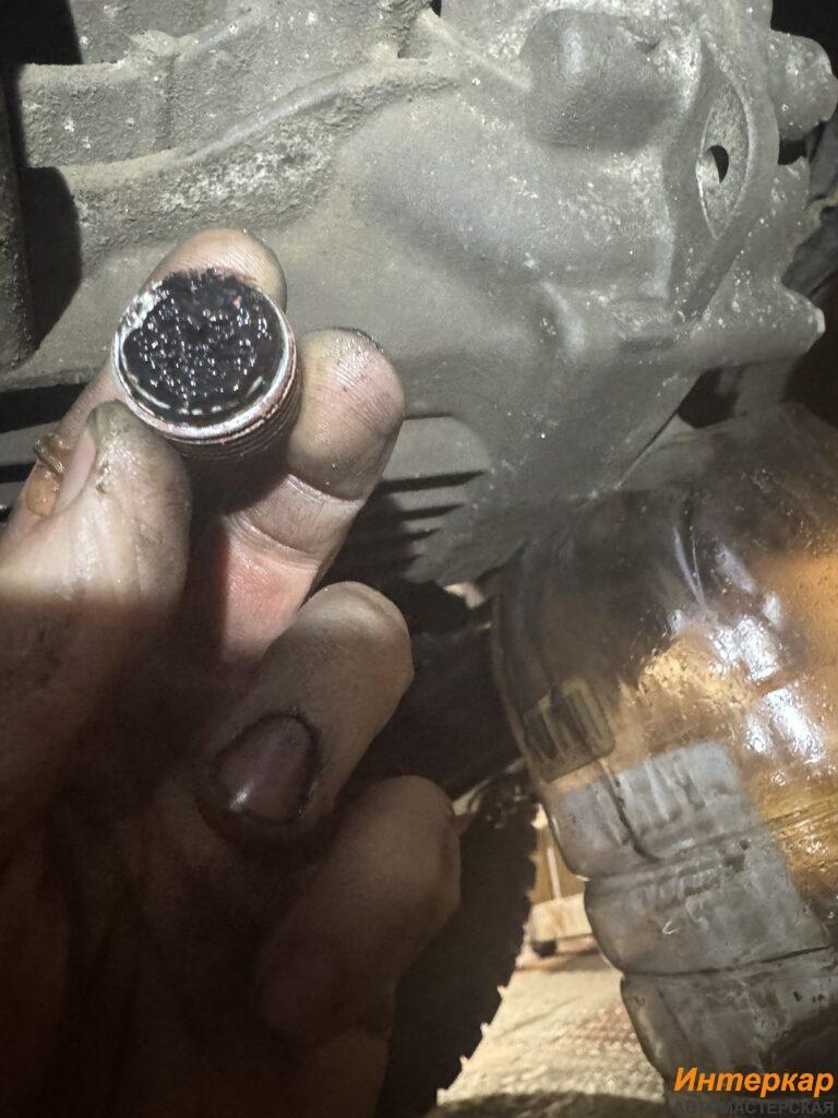 img_4097-768x1024.jpg?v=1769950056