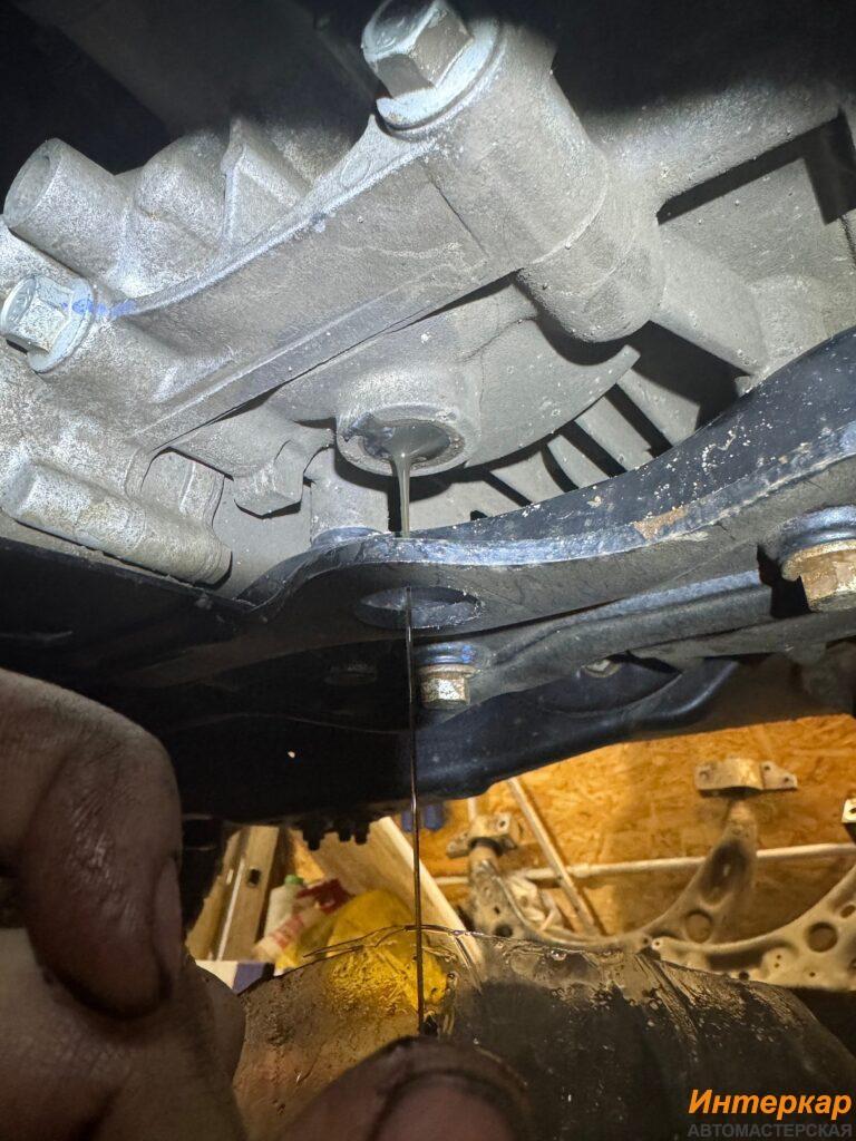 img_4098-768x1024.jpg?v=1769950094