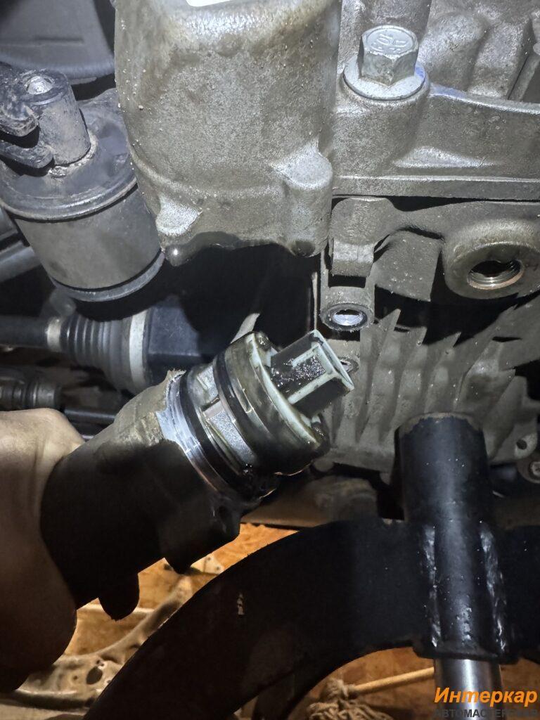 img_4101-768x1024.jpg?v=1769980560